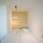 Ostend Studio 公寓