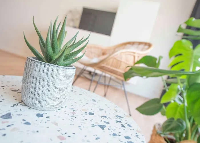 Ostend Studio Apartment Ostend