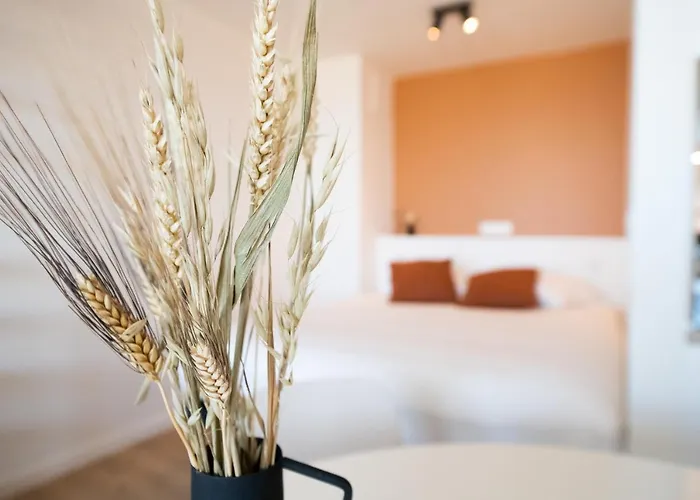 Apartament Ostend Studio Ostenda