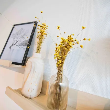 Ostend Studio アパート オステンド